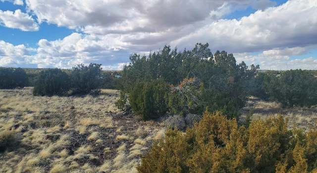 Photo of TBD CR 5166, Concho, AZ 85924