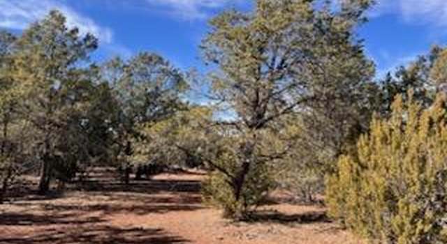 Photo of 138 ACR 3158 Unit Palomino, Vernon, AZ 85940
