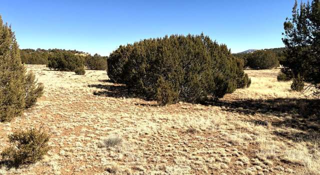 Photo of 84 Co Rd 3035, Concho, AZ 85924