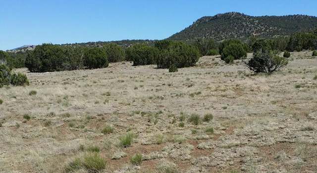 Photo of 84 Co Rd 3035, Concho, AZ 85924