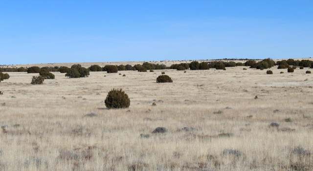 Photo of 13 CR 8006, Concho, AZ 85924