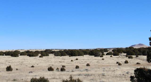 Photo of 13 CR 8006, Concho, AZ 85924