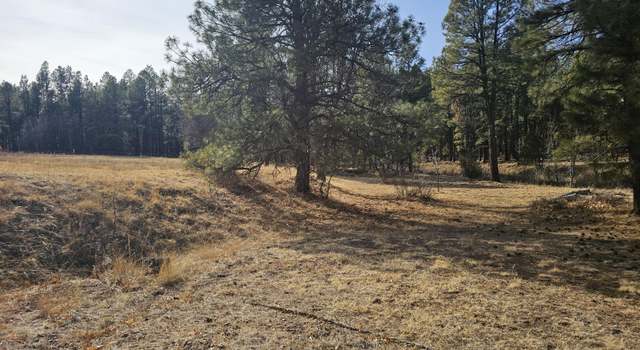 Photo of 528 & 530 Summit Dr, Show Low, AZ 85901