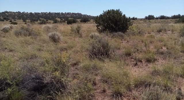 Photo of 8875 Juniper Berry Trl, Snowflake, AZ 85937