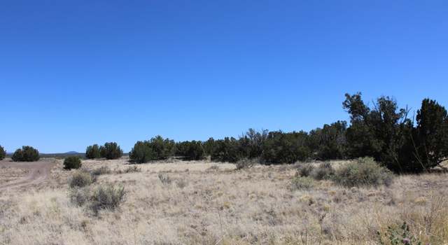 Photo of 7655 Del Rio Dr, Show Low, AZ 85901