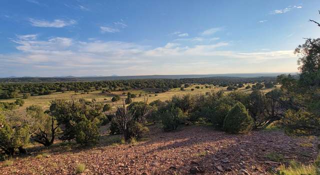 Photo of TBD County Road 8288, Concho Valley, AZ 85924