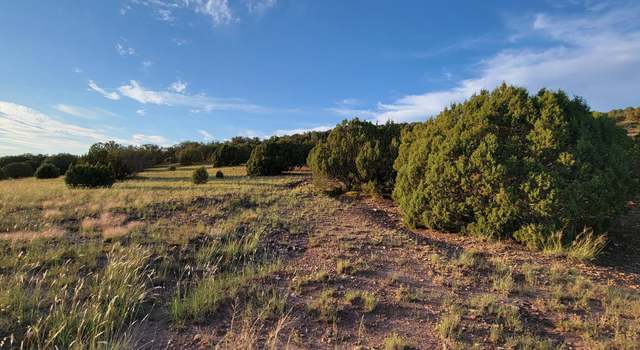 Photo of TBD County Road 8288, Concho Valley, AZ 85924