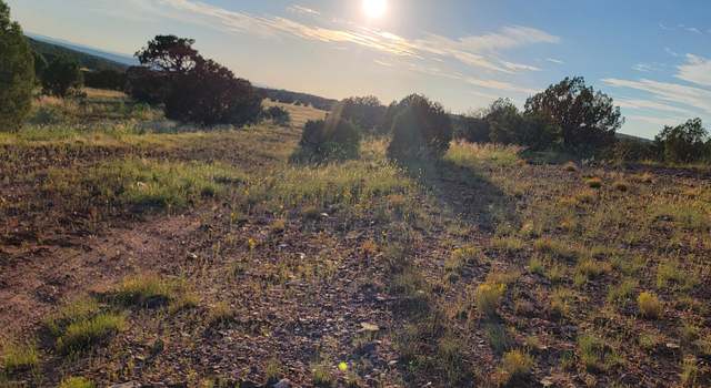 Photo of TBD County Road 8288, Concho Valley, AZ 85924