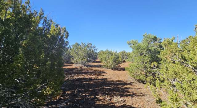 Photo of 21 Co Rd 8032 #8032, Concho, AZ 85924
