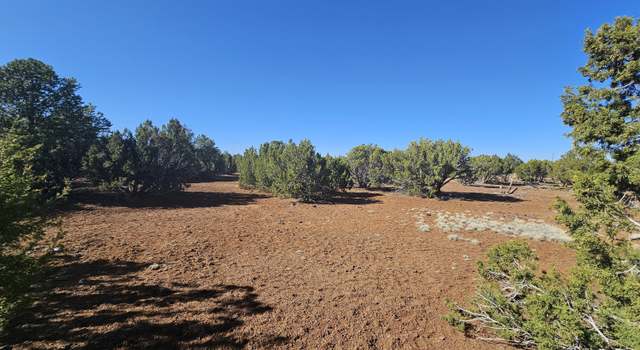 Photo of 21 Co Rd 8032 #8032, Concho, AZ 85924
