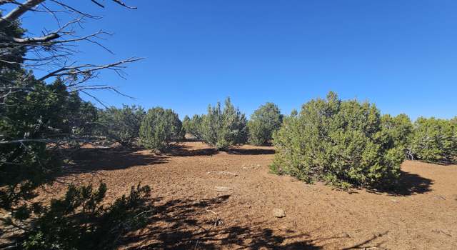 Photo of 21 Co Rd 8032 #8032, Concho, AZ 85924