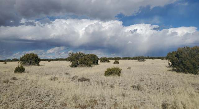 Photo of TBD CR 5111, Concho, AZ 85924
