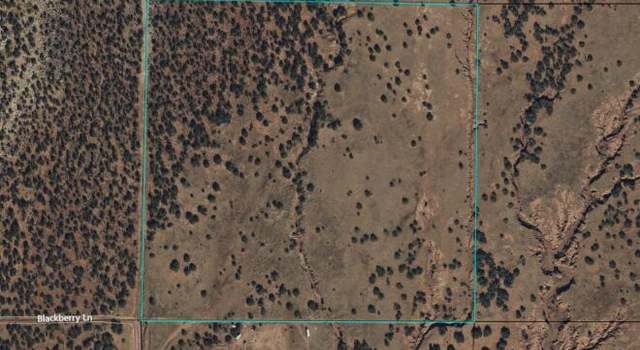 Photo of 2887 Lone Star Rd, White Mountain Lake, AZ 85912