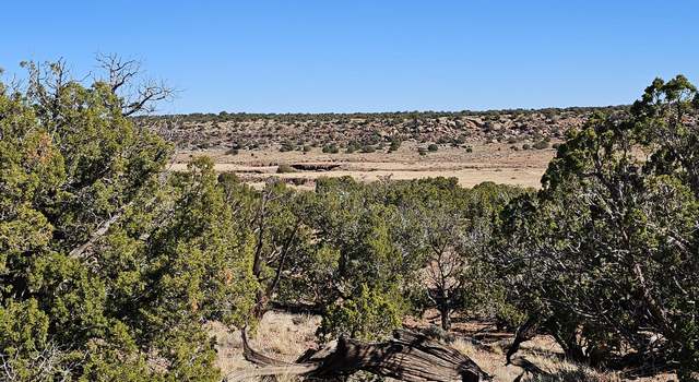 Photo of 45 N 8579, Concho, AZ 85924