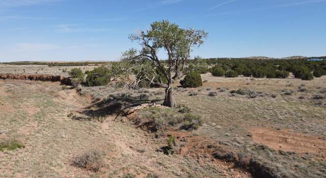 Photo of TBD Falcon Dr, Taylor, AZ 85939