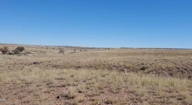 Photo of 23 CR 6030, Concho, AZ 85924