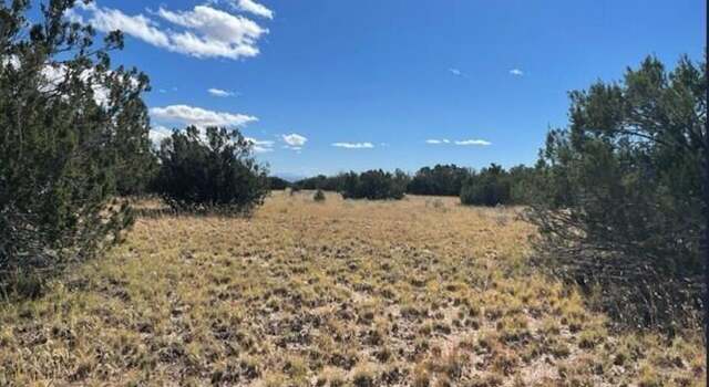 Photo of TBD CR 7111, St. Johns, AZ 85936