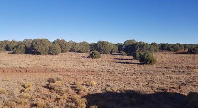 Photo of Lot 35 CR 8281, Concho, AZ 85924