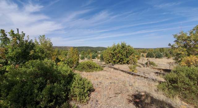 Photo of TBD White Cloud Ln, Pinedale, AZ 85934