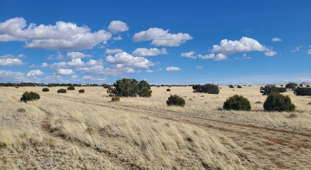 Photo of TBD CR 5141, Concho, AZ 85924