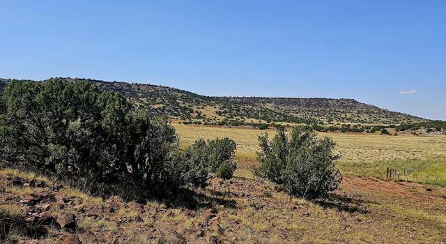 Photo of TBD River Springs Rnch Lot 289, St. Johns, AZ 85936