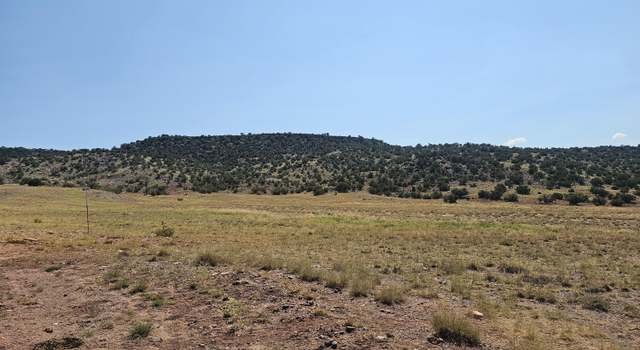 Photo of TBD River Springs Rnch Lot 289, St. Johns, AZ 85936