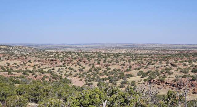 Photo of TBD N6448, St. Johns, AZ 85936
