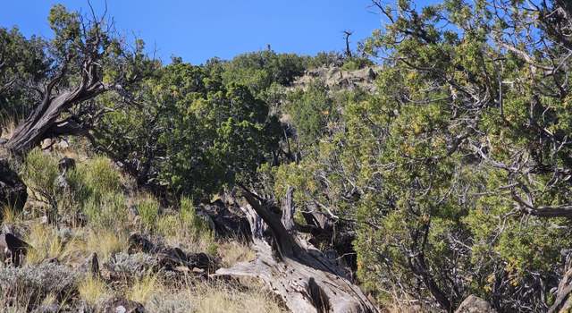 Photo of TBD N6448, St. Johns, AZ 85936