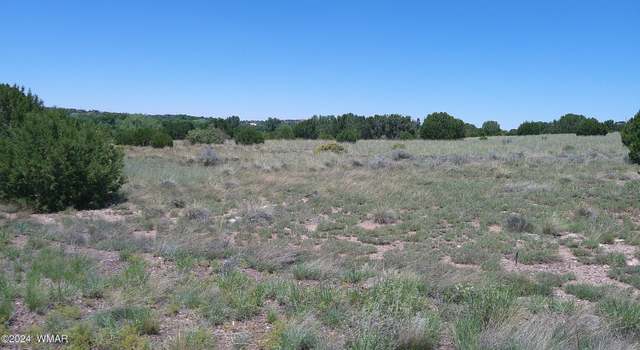 Photo of 13 County Rd 5084, Concho, AZ 85924