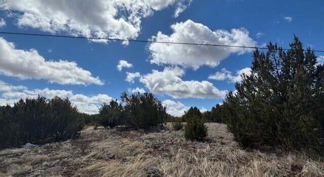 Photo of 68 8114, Concho, AZ 85924