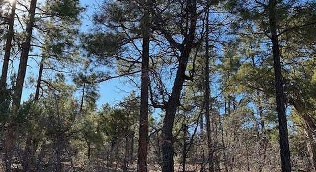 Photo of 1311 W Snow Creek Trl, Show Low, AZ 85901