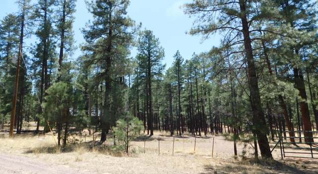 Photo of 17 N2326, Alpine, AZ 85920