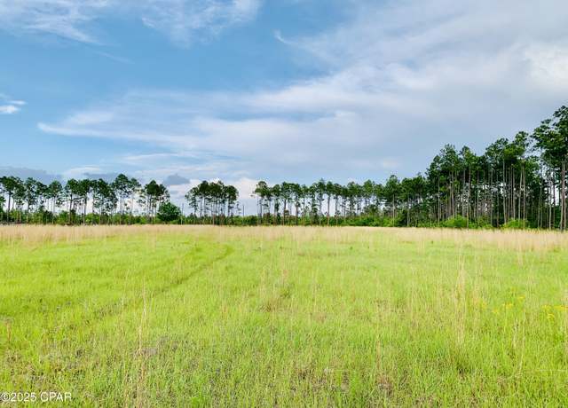 Property at 16711 Roll O Home Rd, Fountain, FL 32438