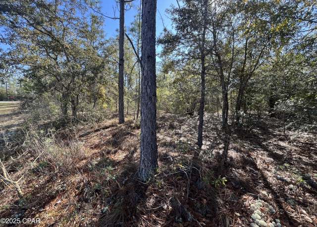 Property at Lot 17 Shelby Ct, Chipley, FL 32428