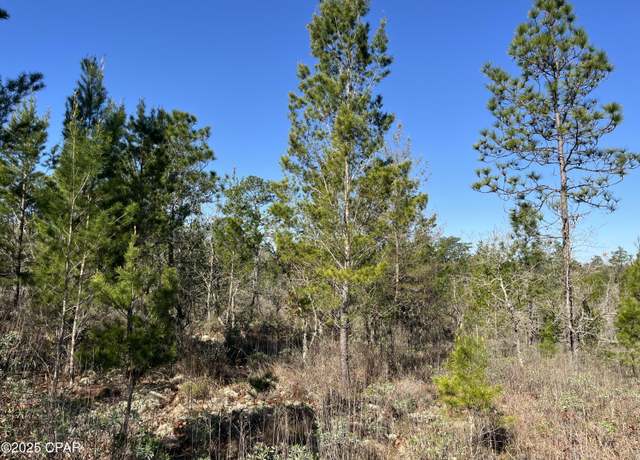 Property at Lot 18 Carey Blvd, Chipley, FL 32428