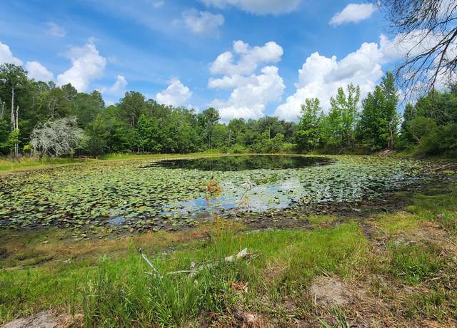 Property at 7617 Green Rd, Sneads, FL 32460