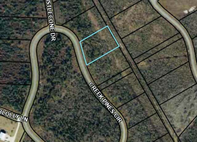 Property at 128 Creek Pines Cir, Wewahitchka, FL 32465