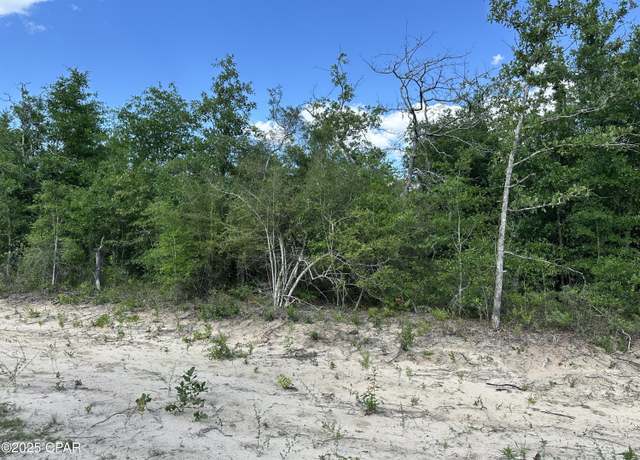 Property at 0000 NW Lakeside Ave, Altha, FL 32421