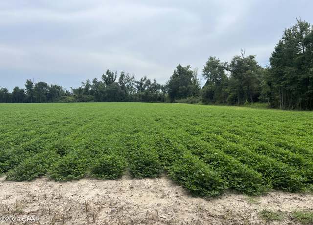 Property at 2183 N Highway 73 Rd, Marianna, FL 32448