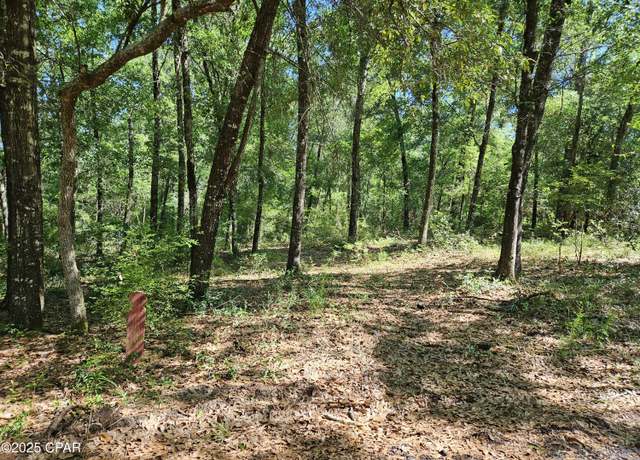 Property at 0000 Dove Ct, Chipley, FL 32428