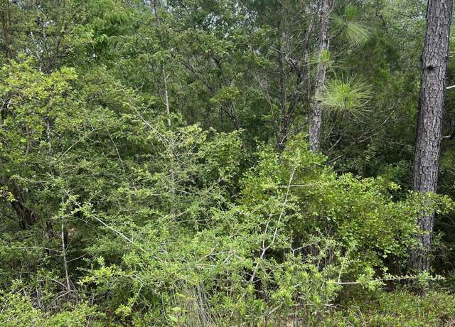 Property at 00 Aster Cir, Marianna, FL 32448