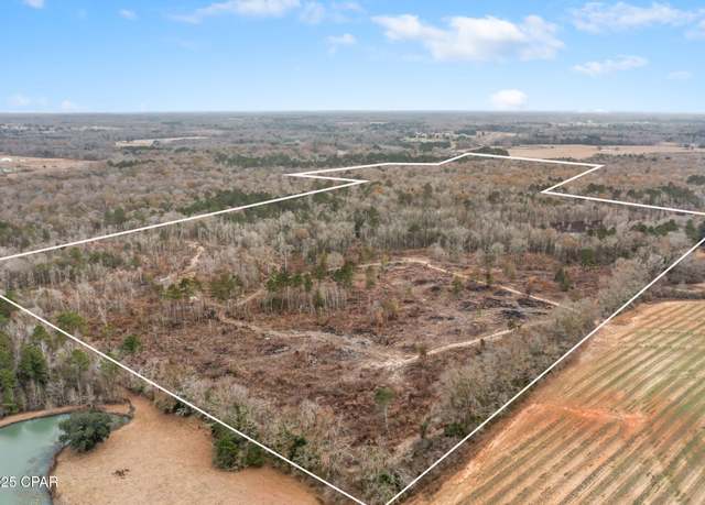 Property at XXX Hwy 173, Graceville, FL 32440