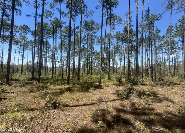 Property at 0 Wildrose Ln, Chipley, FL 32428