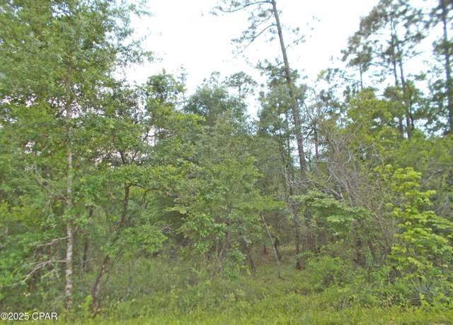 Property at Lot 7 Castle Cir, Alford, FL 32420