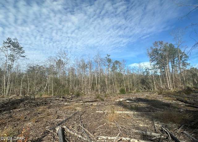 Property at Tract 6331 Sellers Rd, Bonifay, FL 32425