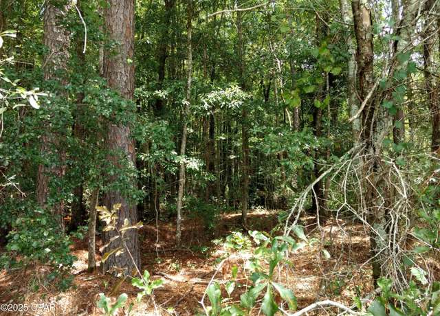 Property at Lot 29 Beech Dr, Westville, FL 32464