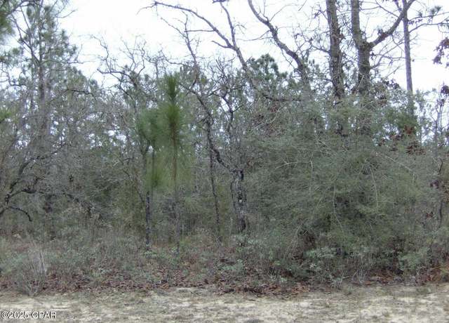 Property at TBD Panama Ct, Chipley, FL 32428