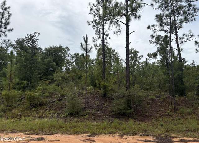 Property at Lot 29 Odum St, Alford, FL 32420