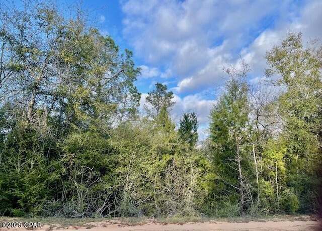 Property at Lot 38 Dorcas Rd, Marianna, FL 32448
