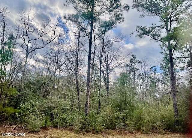 Property at Lot 9 Red Rd, Marianna, FL 32448